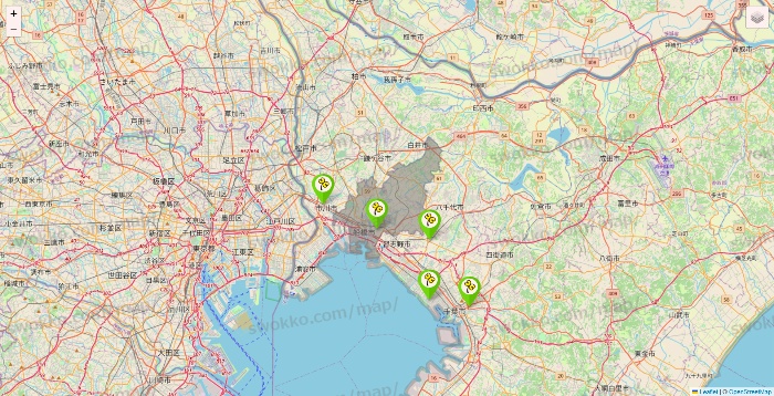 千葉県のケア21の施設地図