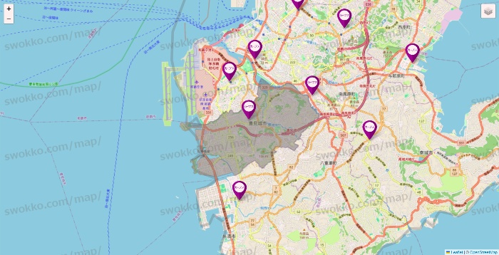 沖縄県のカーブスの店舗地図