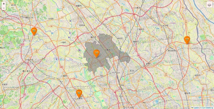 埼玉県のillusie300（イルーシーサンマルマル）の店舗地図