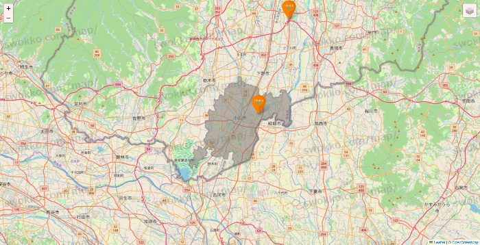 栃木県のillusie300（イルーシーサンマルマル）の店舗地図