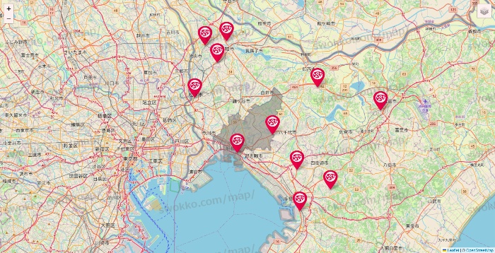 千葉県のロピアの店舗地図