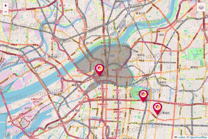 大阪府のルネサンスの店舗地図