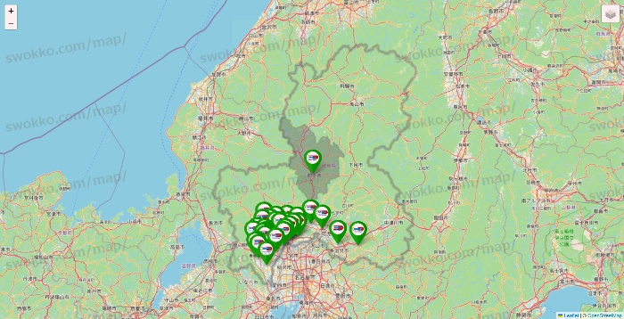 岐阜県のセイムス系の店舗地図