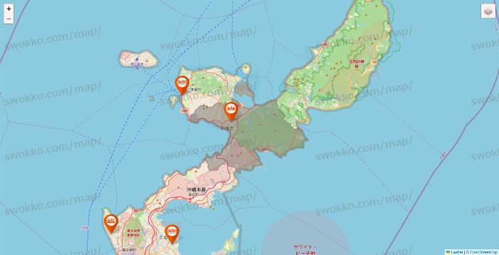 沖縄県のザ・ビッグの店舗地図