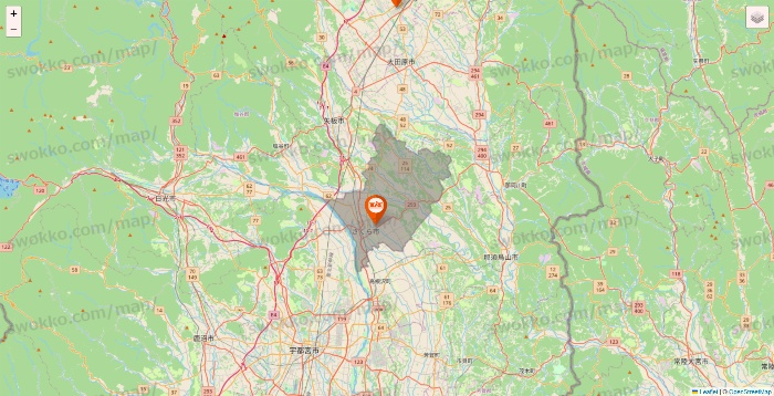 栃木県のザ・ビッグの店舗地図