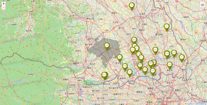 埼玉県の3COINSの店舗地図