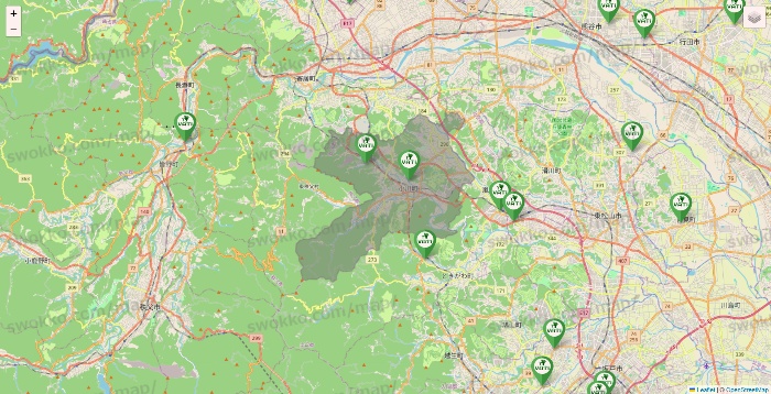 埼玉県のヴァティー（VATI）の施設地図