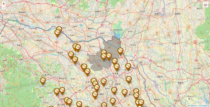 埼玉県のワッツ系列（ワッツ、ワッツウィズ、シルク、ミーツ、フレッツ、百圓領事館）の店舗地図