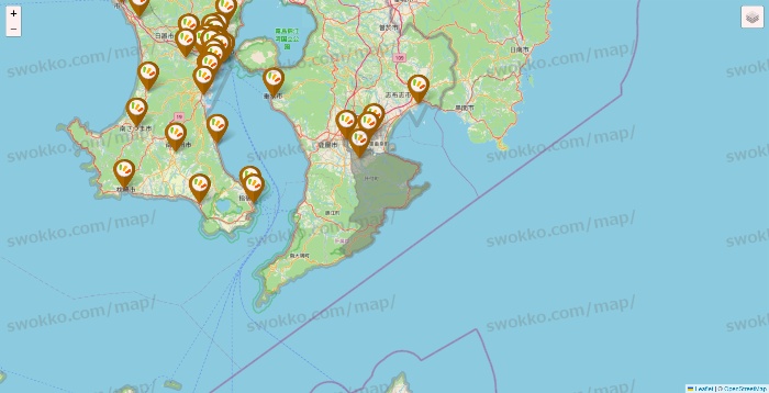 鹿児島県のワッツ系列（ワッツ、ワッツウィズ、シルク、ミーツ、フレッツ、百圓領事館）の店舗地図